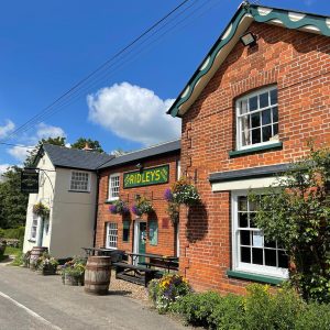 Essex Restaurants - essex restauarnts
